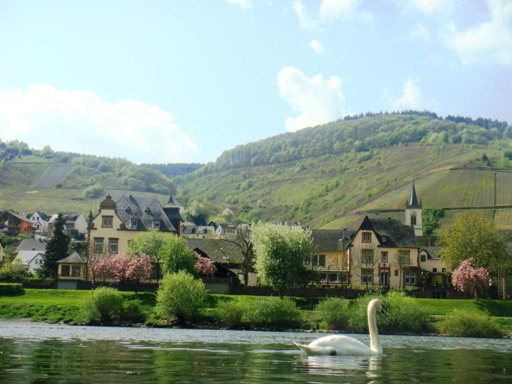 Boutique Hotel Villa Melsheimer Reil Exterior photo